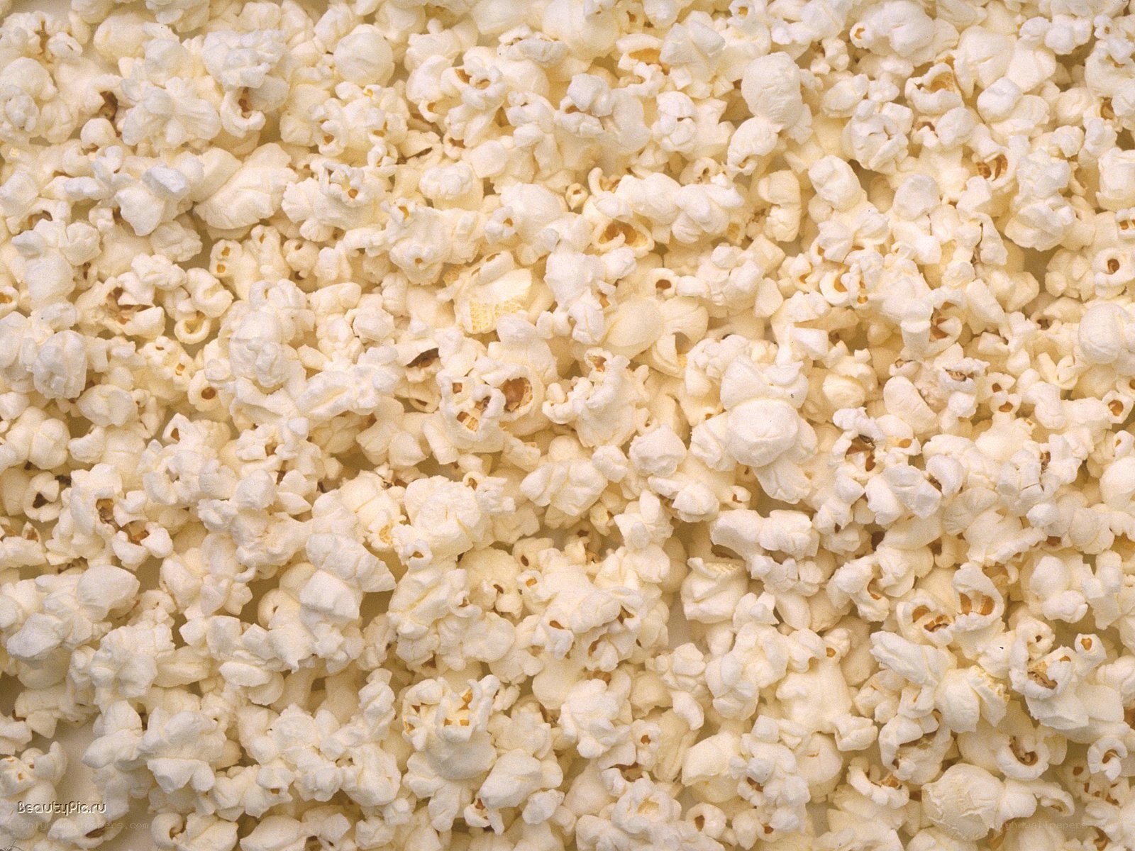 close-up of popcorn