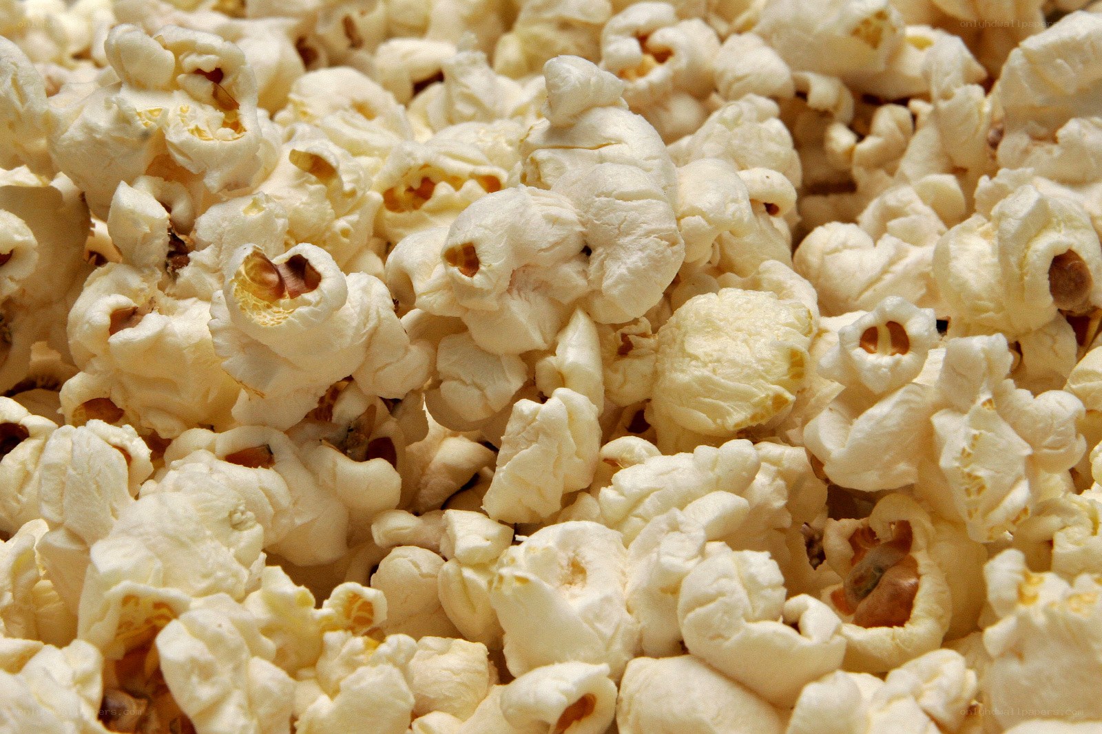 close-up of popcorn kernels