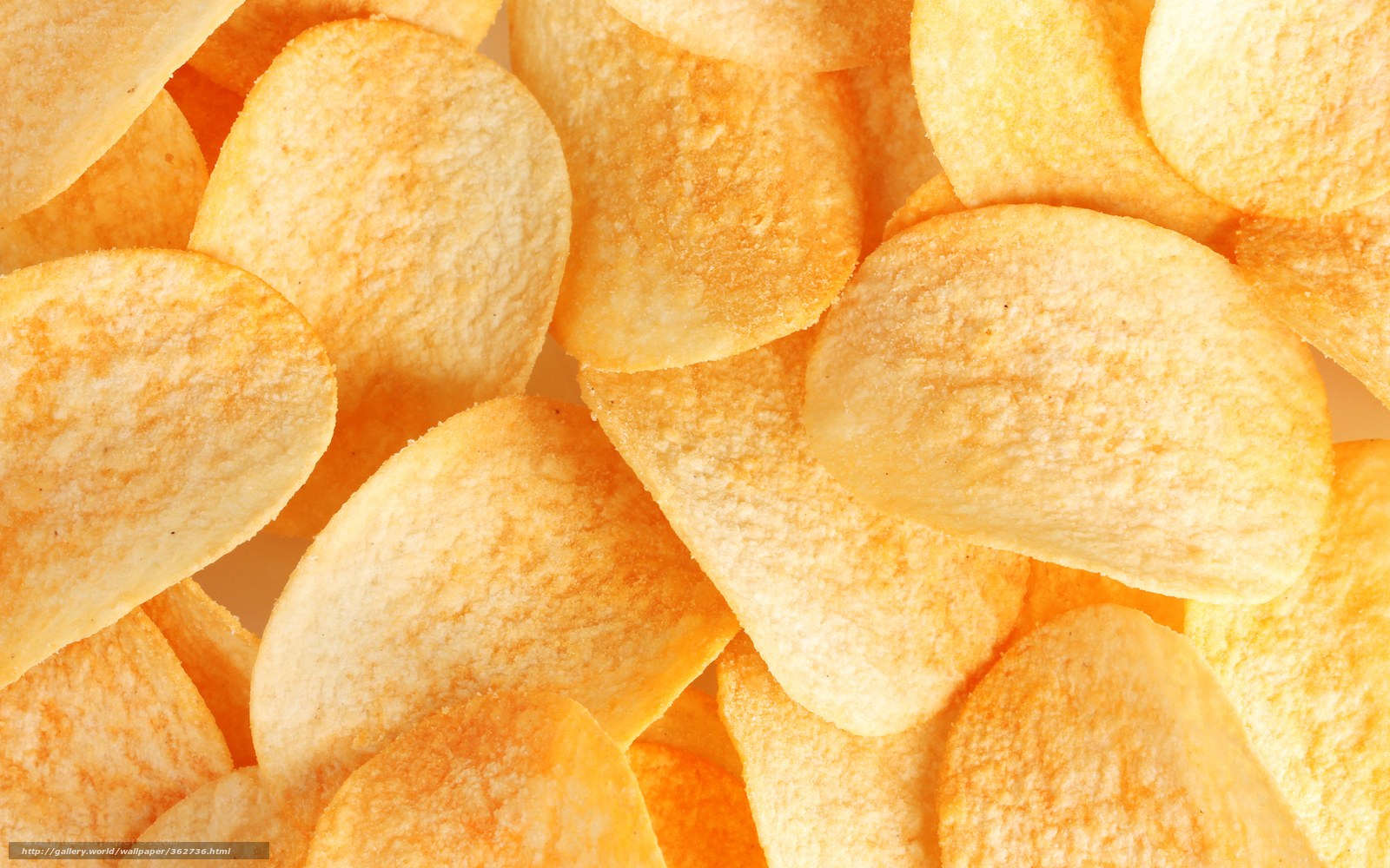 Close-up of potato chips