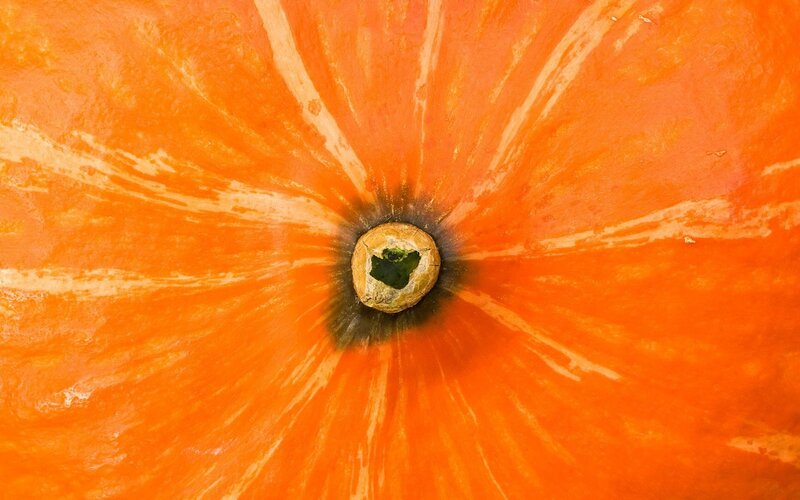 Close-up of Pumpkin Surface