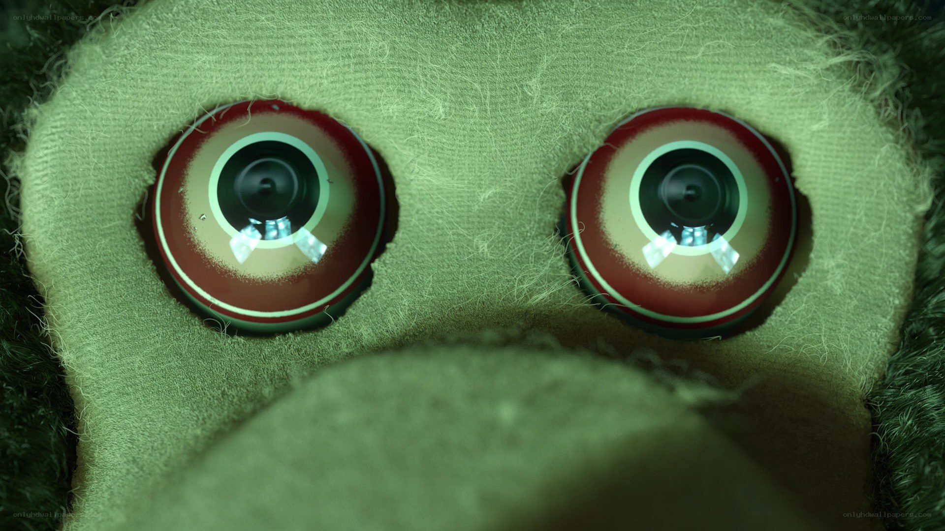 close-up of puppet eyes