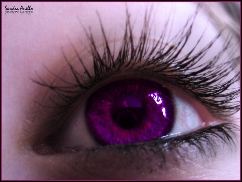 Close-up of Purple Eye