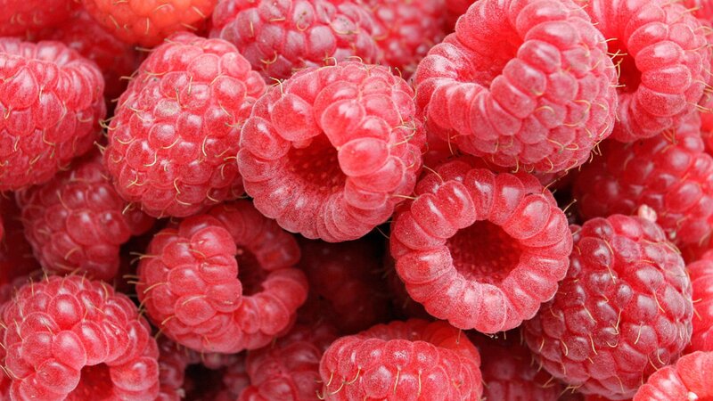 Close-up of Raspberries — Red, Fresh, Photograph, Berries, Dew