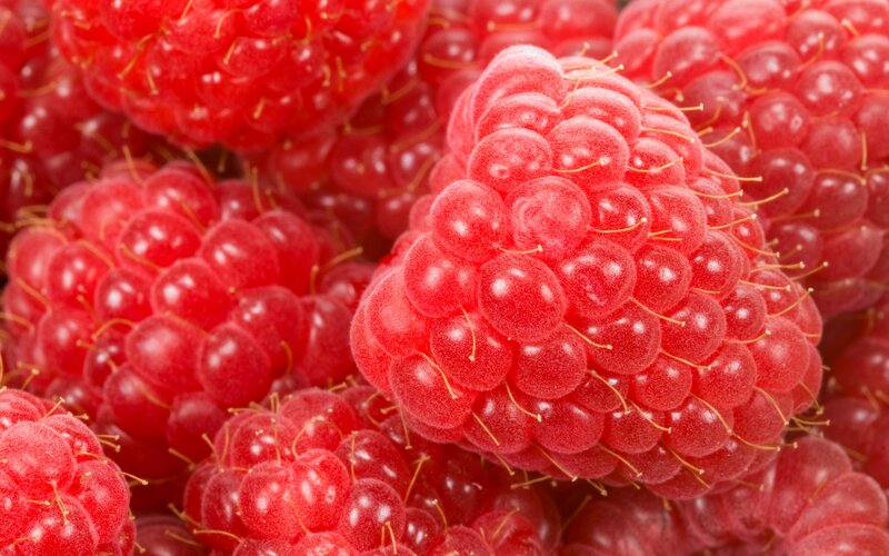 Close-up of Raspberries — Red, Fresh, Photograph, Berries, Dewdrops