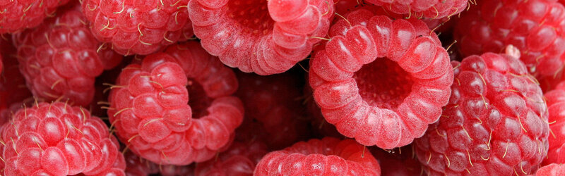 Close-up of Raspberries — Red, Fresh, Photograph, Berries, Drupelets