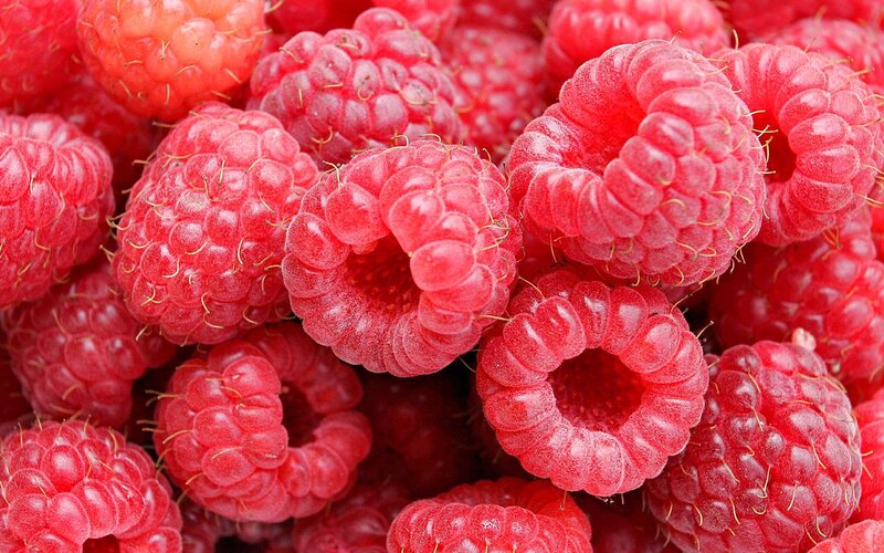 Close-up of Raspberries — Red, Fresh