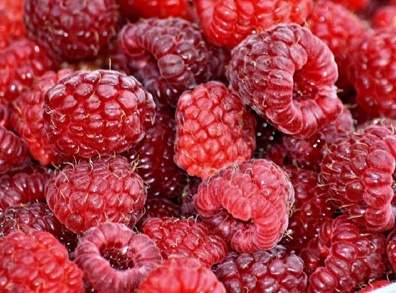Close-up of Raspberries — Red, Natural