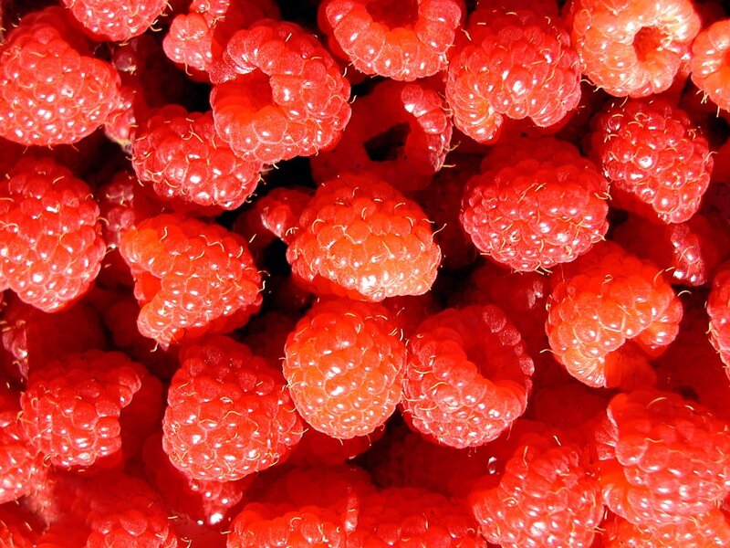 Close-up of Raspberries — Red, Vibrant