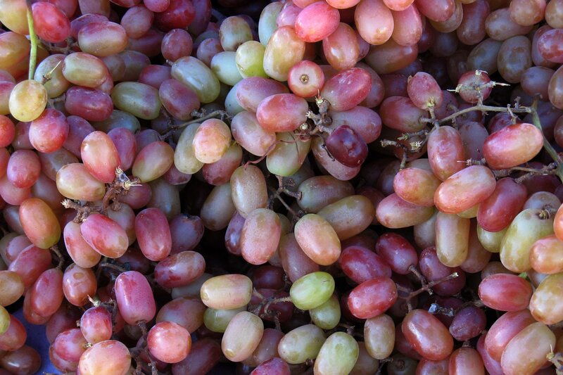 Close-up of red and green grapes