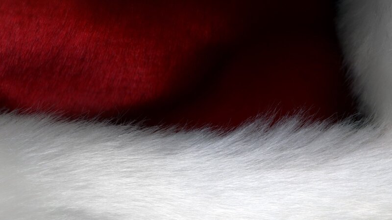 close-up of red and white fur