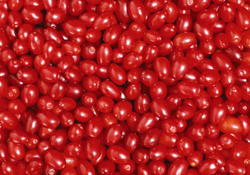 Close-up of red berries