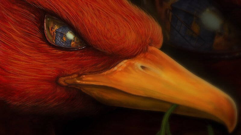 Close-up of Red Bird