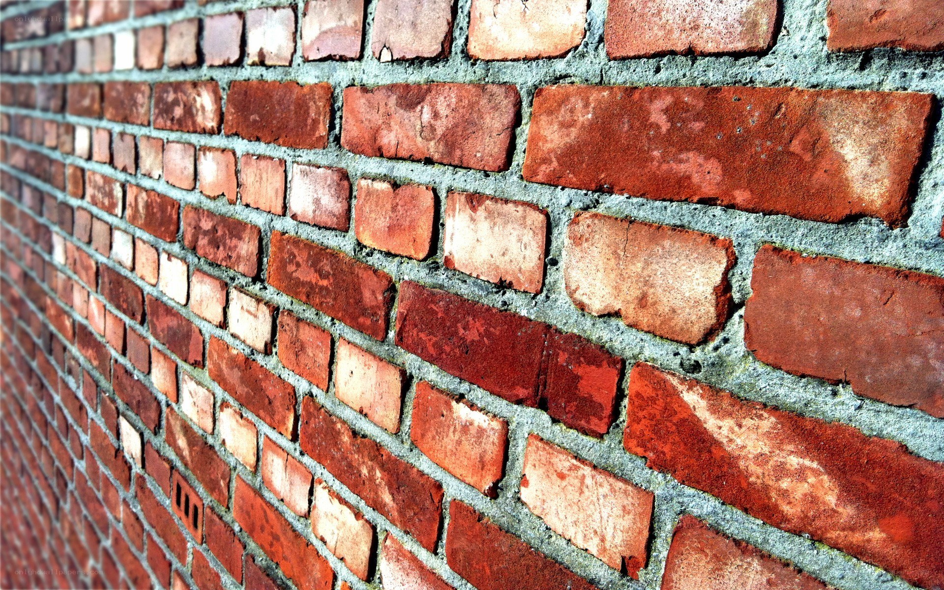 close-up of red brick wall