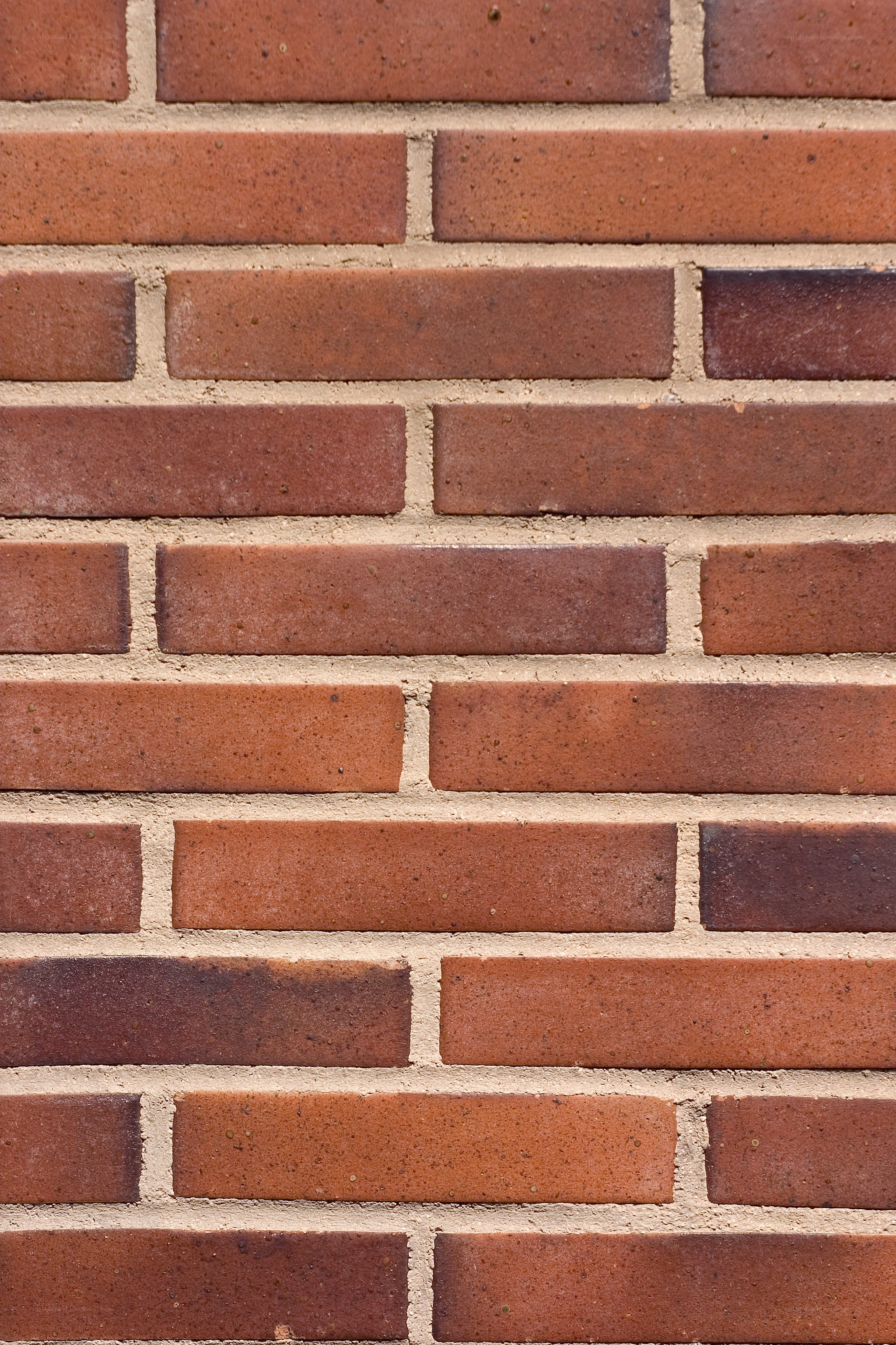 close-up of red brick wall