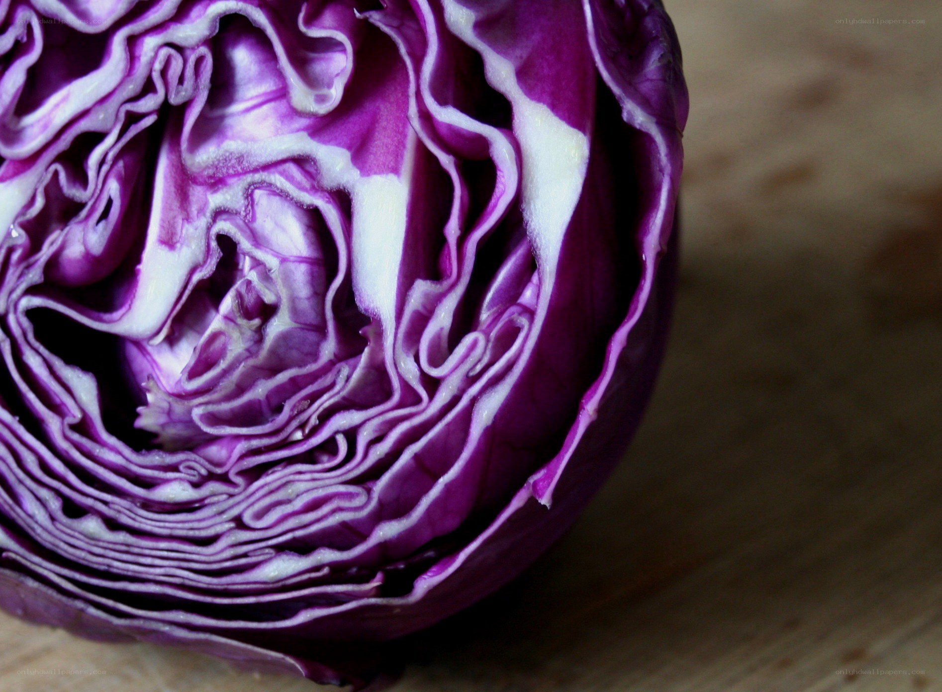 close-up of red cabbage