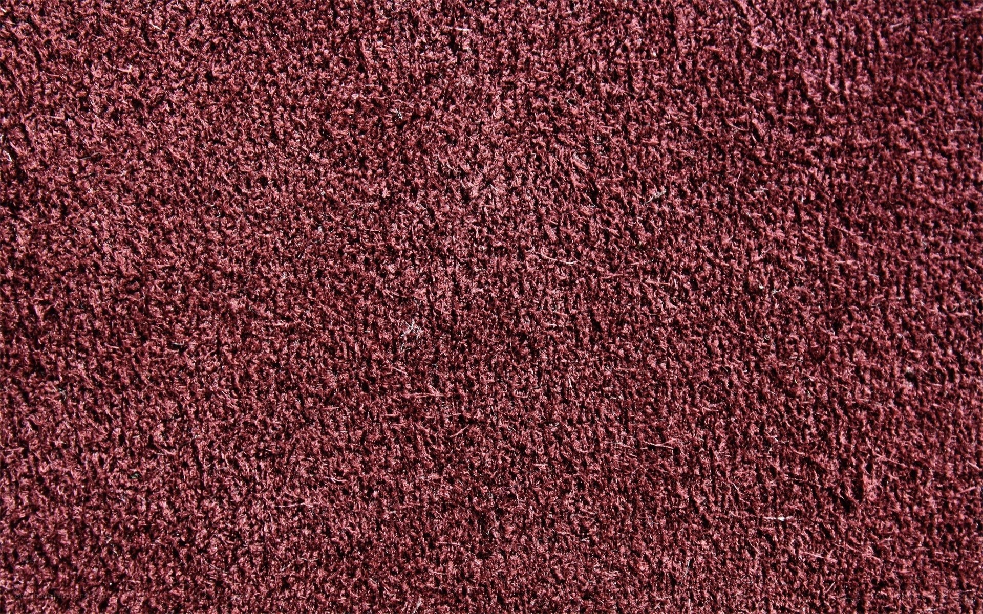 close-up of red carpet texture