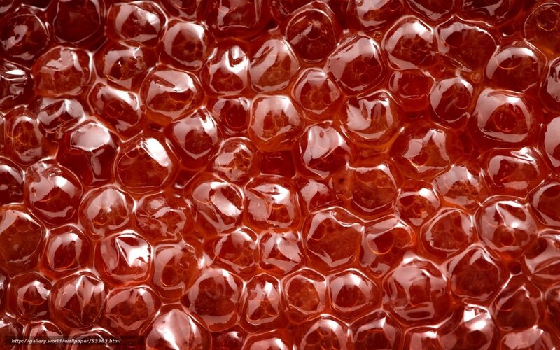 close-up of red caviar