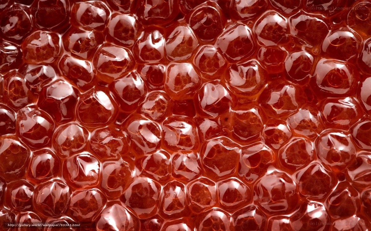 close-up of red caviar