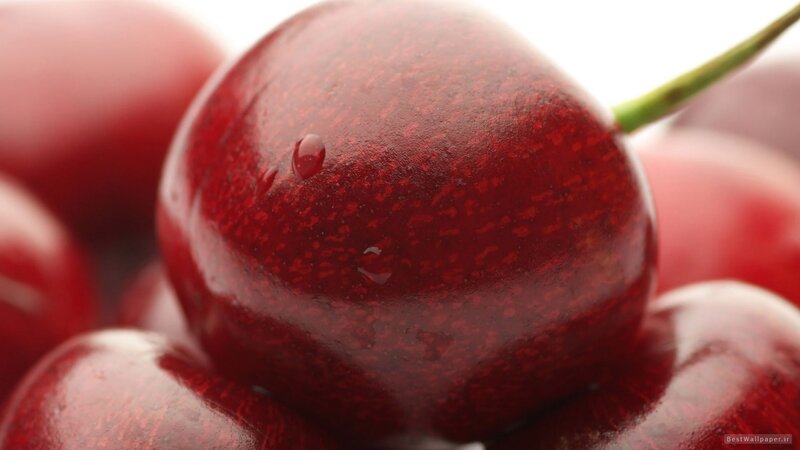 Close-up of red cherries