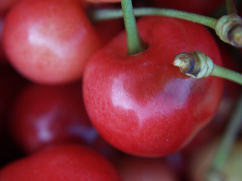 close-up of red cherries