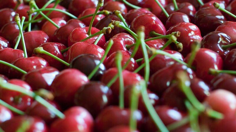 Close-up of Red Cherries — Fresh, Green