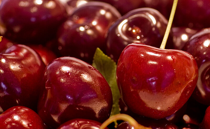 Close-up of Red Cherries — Fresh