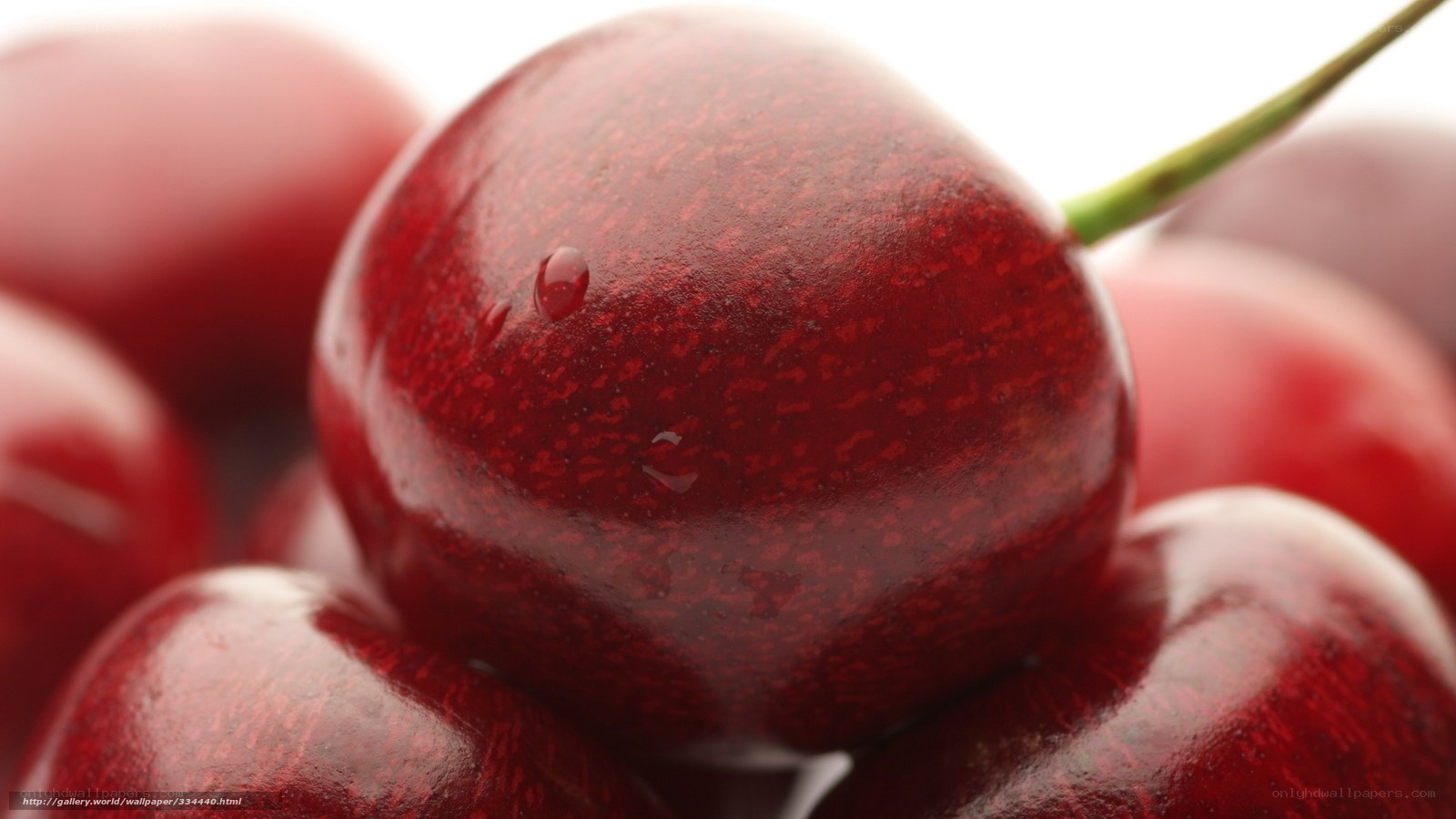close-up of red cherries