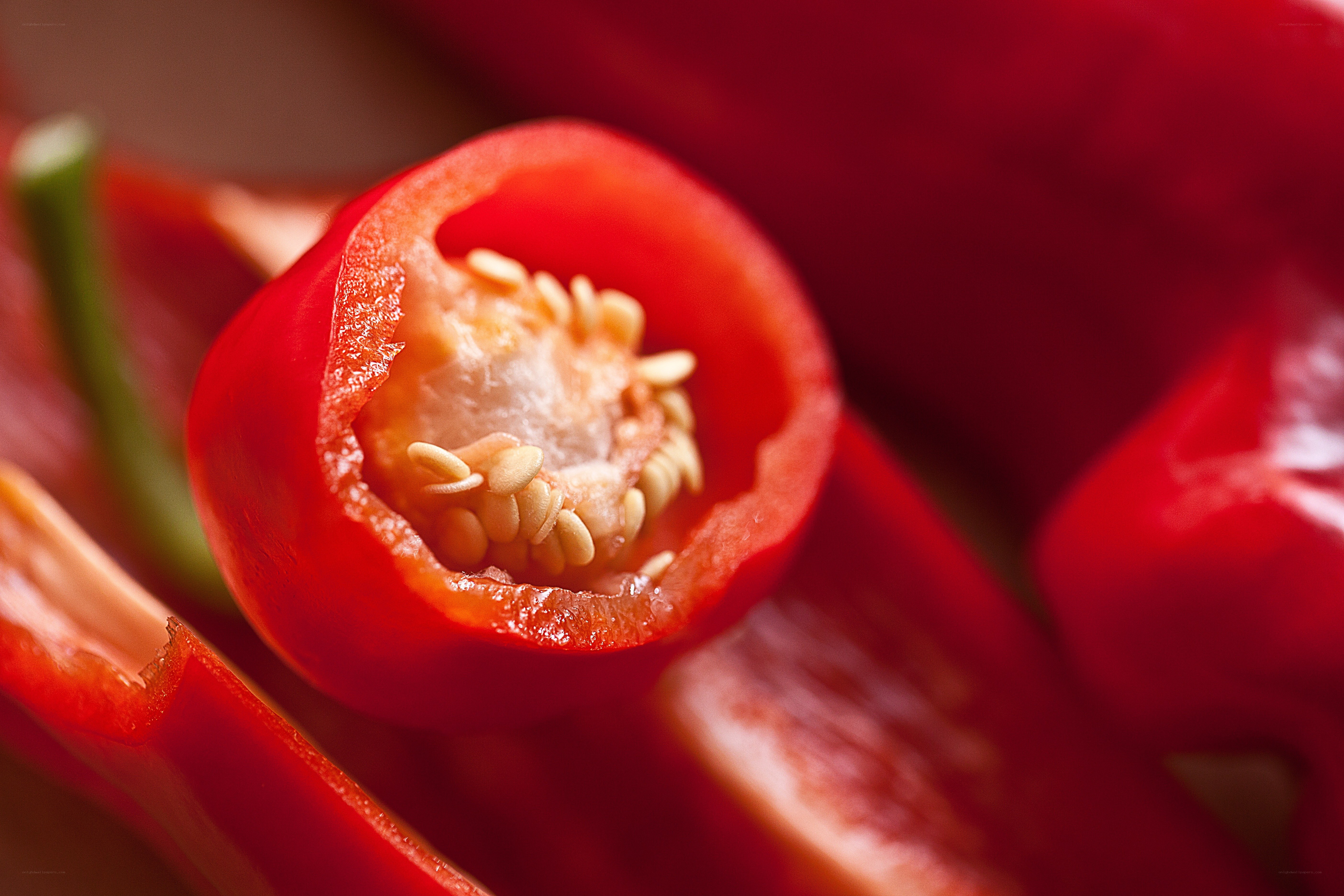 Close-up of red chili pepper