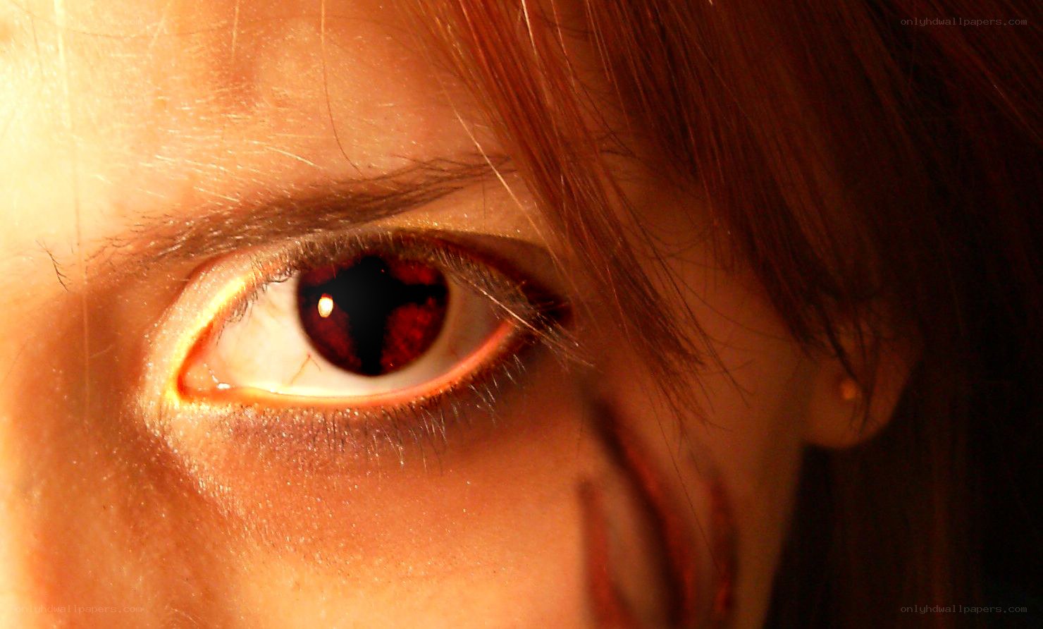 close-up of red eye