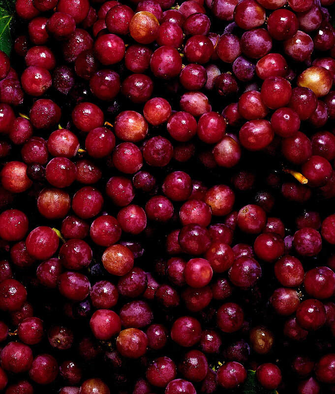 Close-up of red grapes