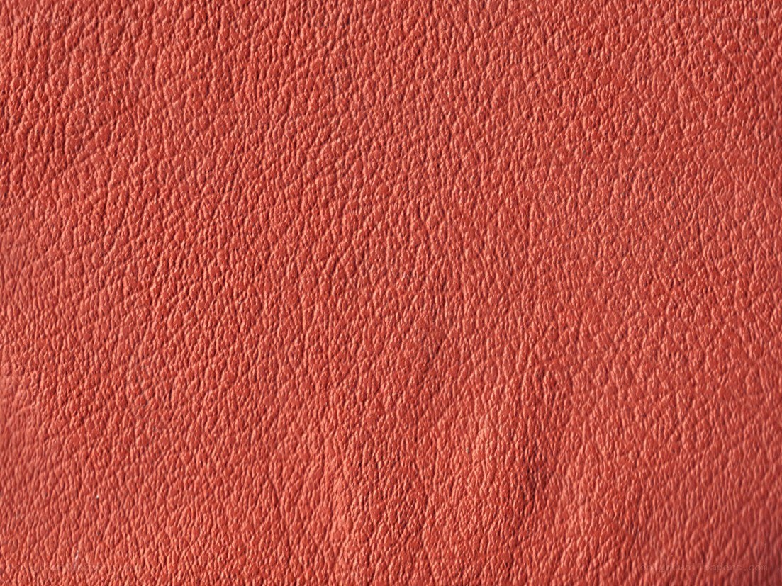 close-up of red leather texture