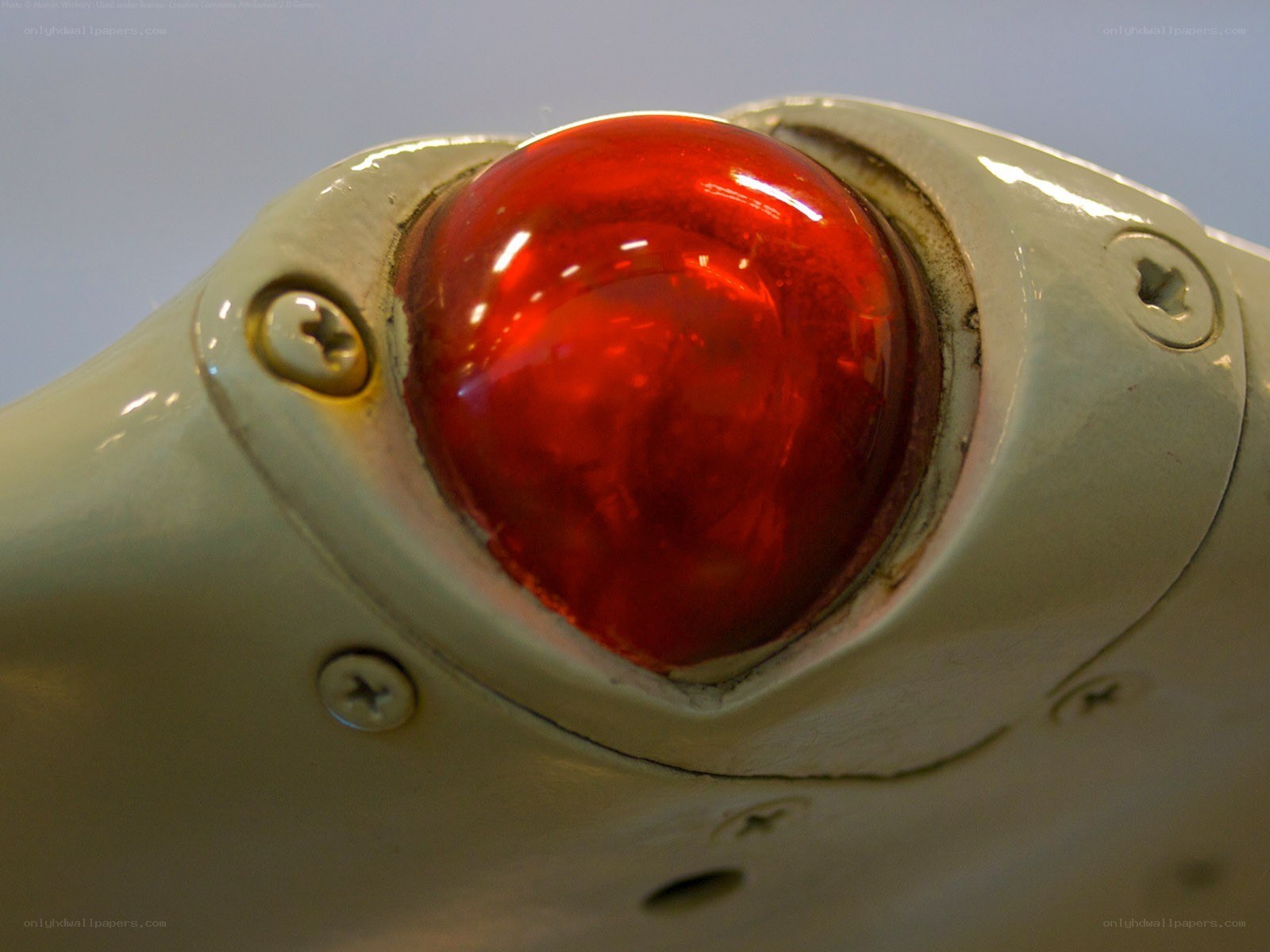 close-up of red light