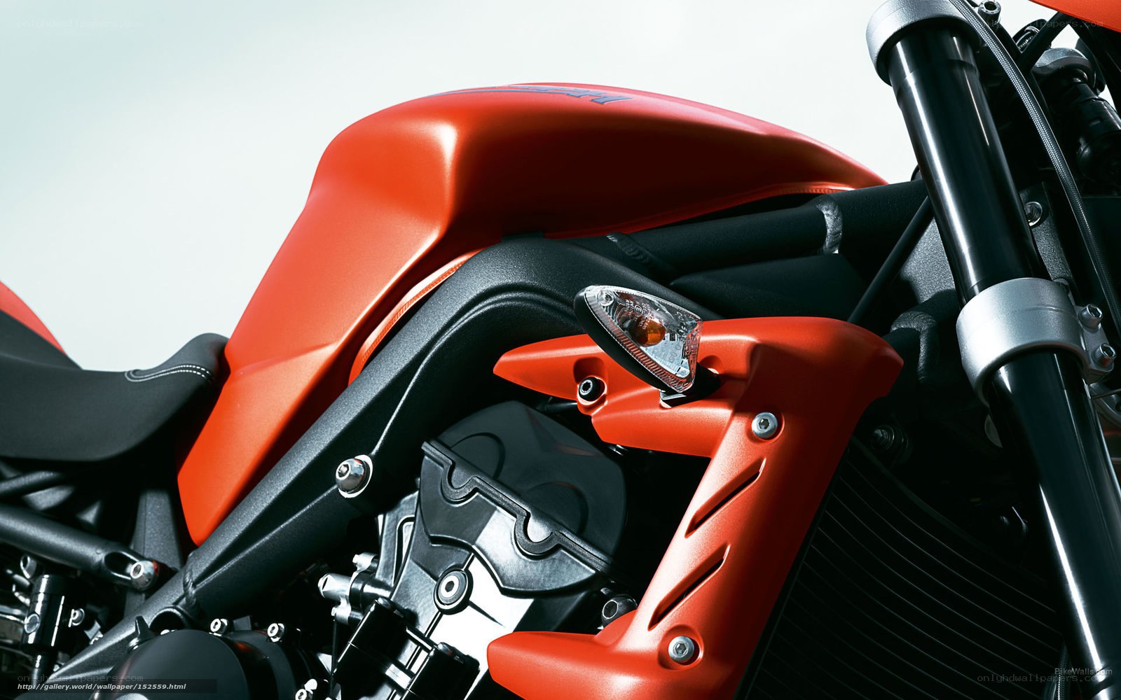 close-up of red motorcycle