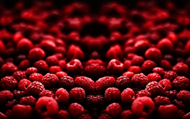 Close-up of red raspberries