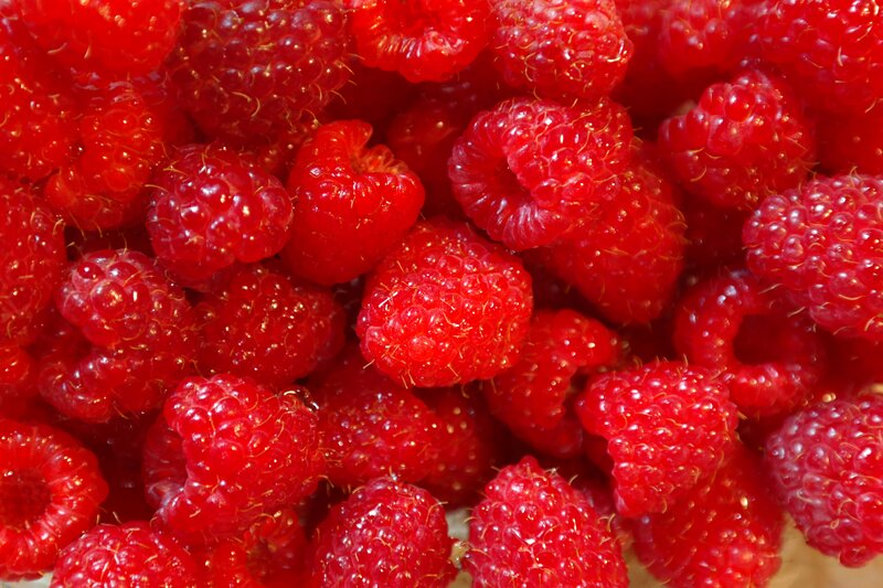 Close-up of Red Raspberries — Fresh, Photograph, Berries, Texture