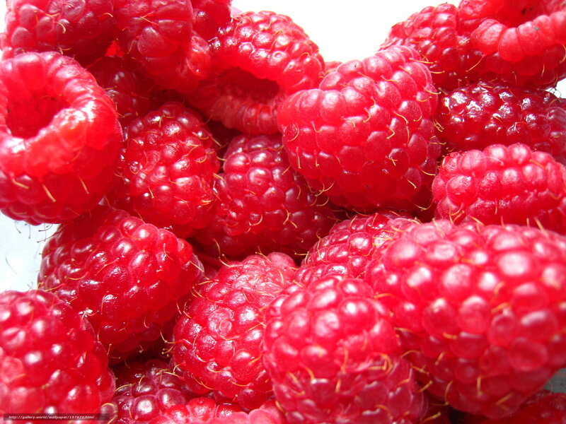 Close-up of Red Raspberries — Fresh, Photograph
