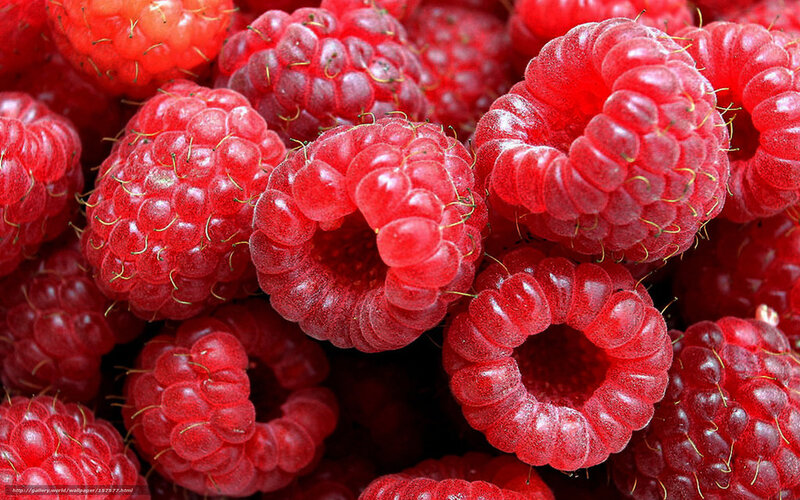 Close-up of Red Raspberries — Fresh