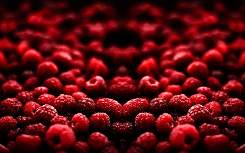 Close-up of red raspberries