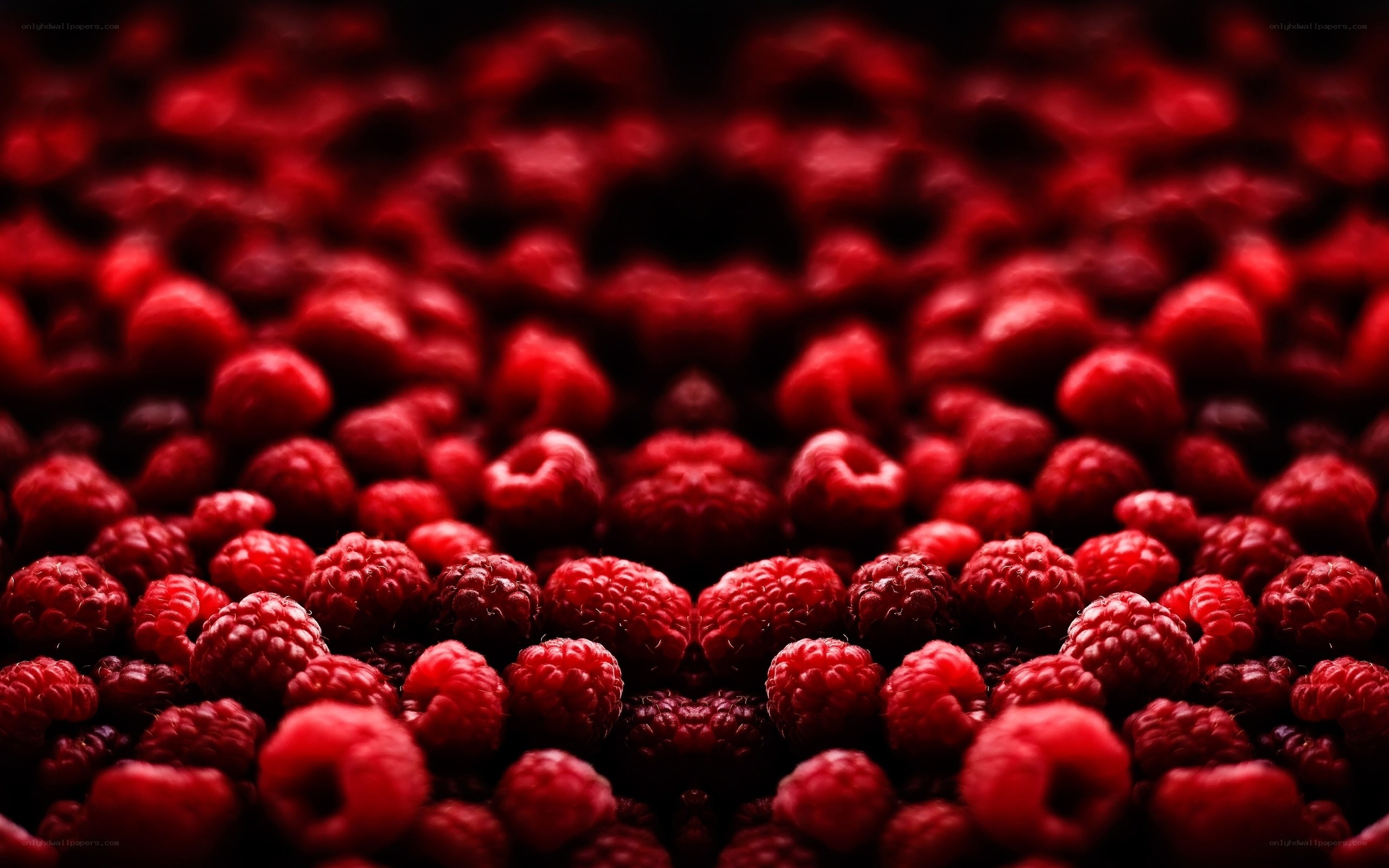 Close-up of red raspberries