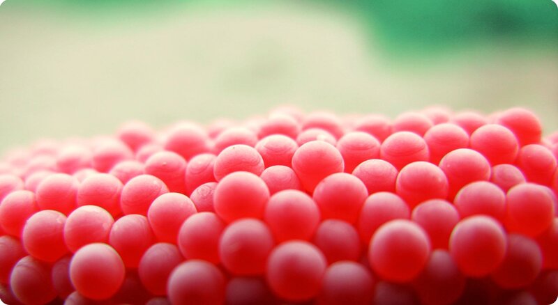 Close-up of red spheres