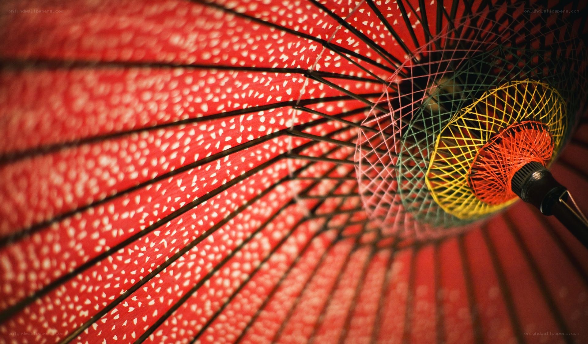 close-up of red umbrella interior