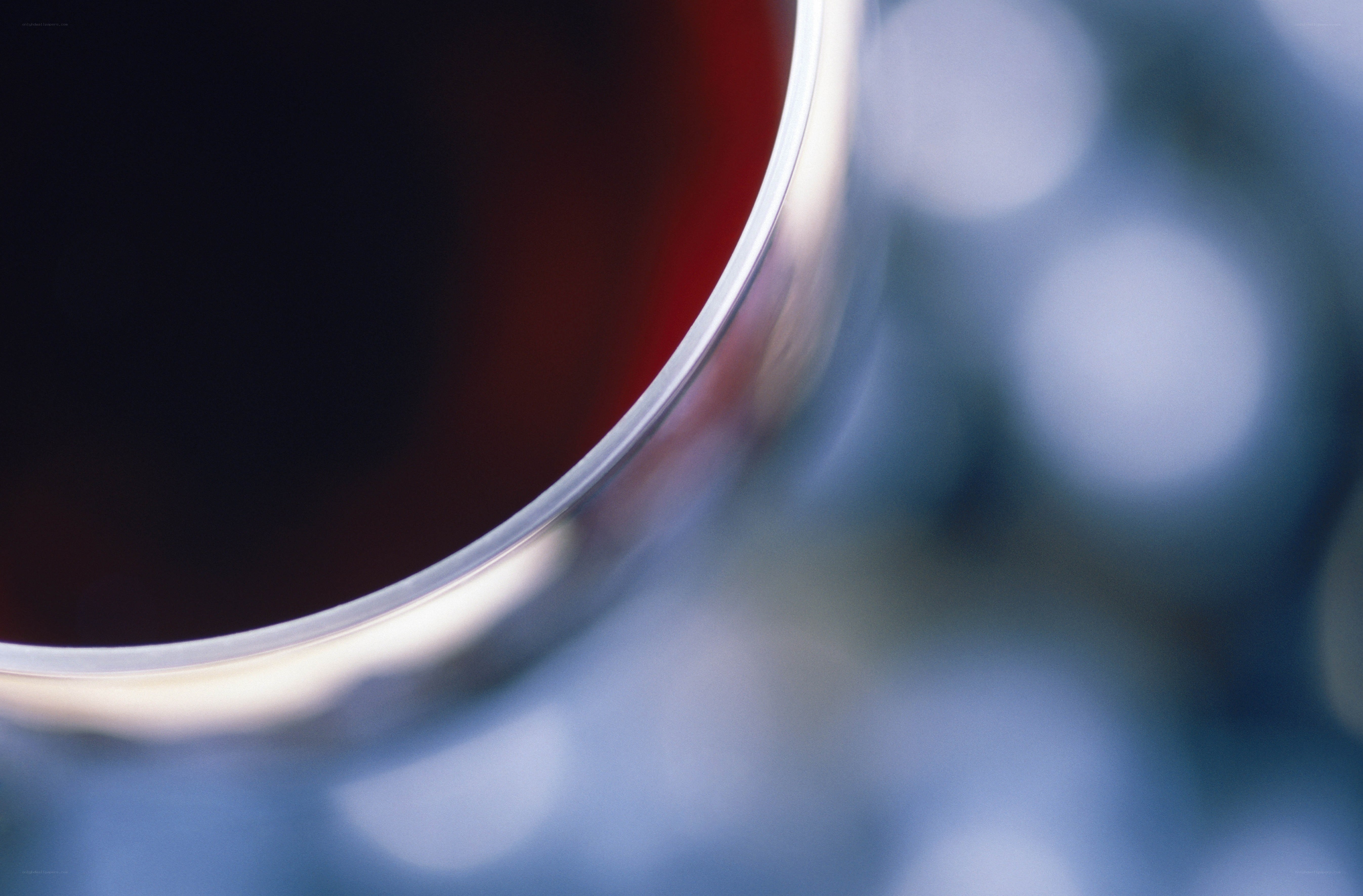Close-up of red wine glass