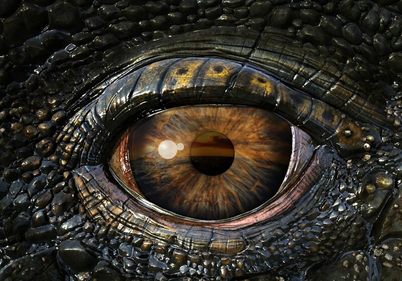 Close-up of Reptile Eye