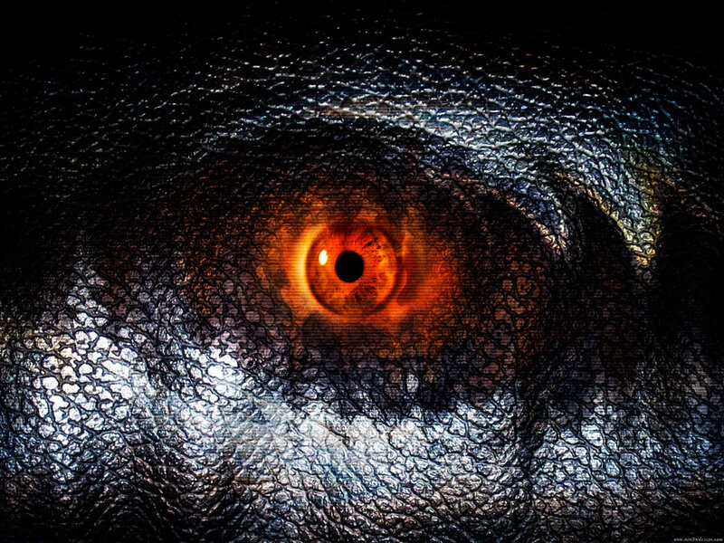 Close-up of Reptilian Eye
