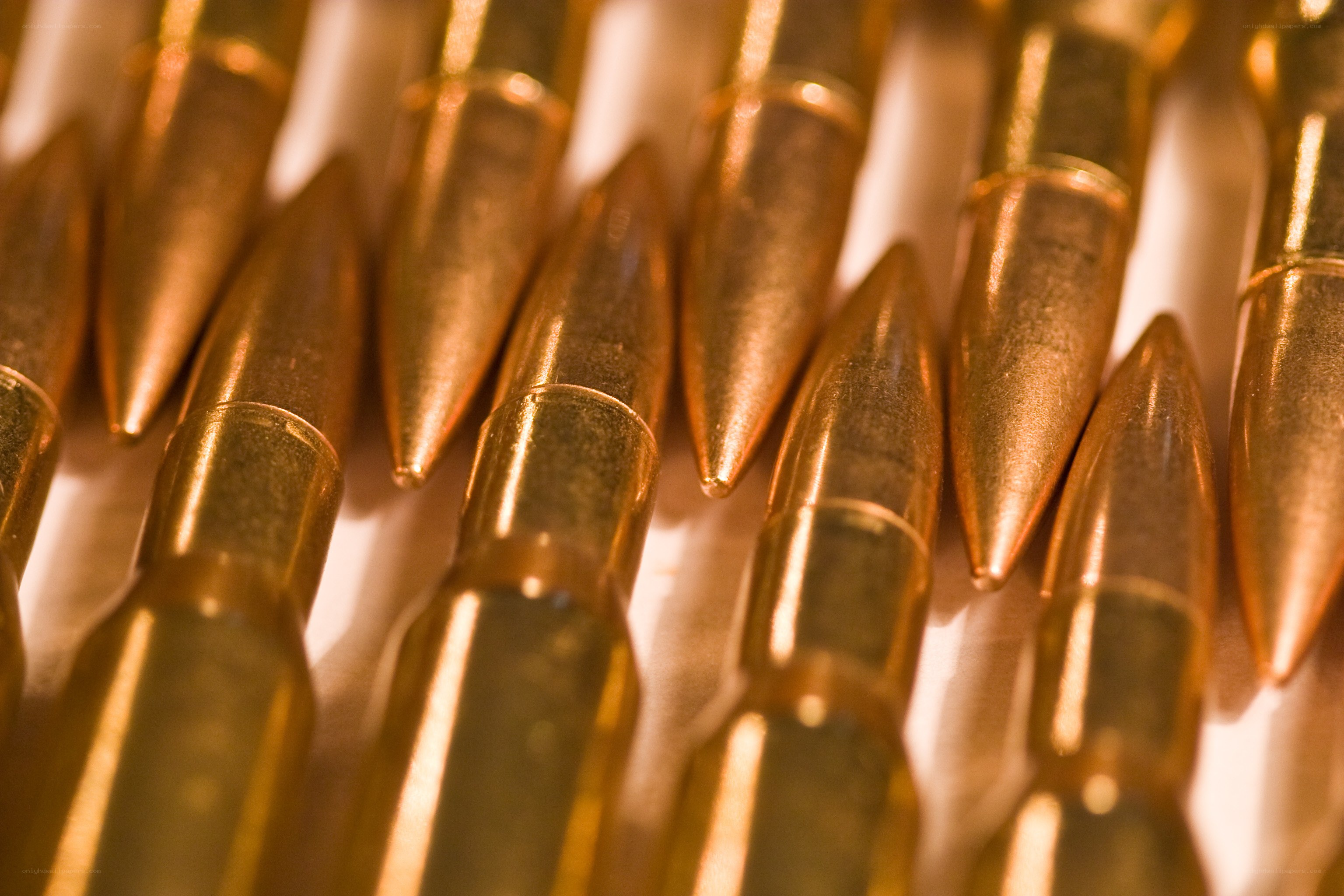 Close-up of rifle bullets