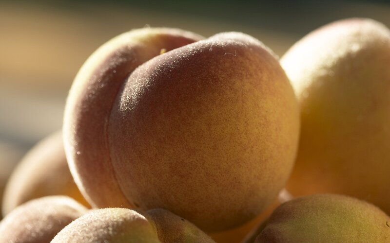 Close-up of ripe peaches
