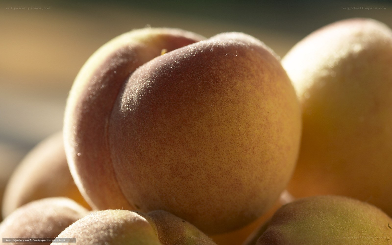 Close-up of ripe peaches