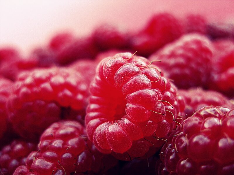 Close-up of ripe raspberries