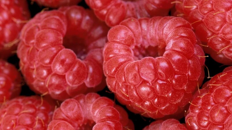 Close-up of ripe raspberries