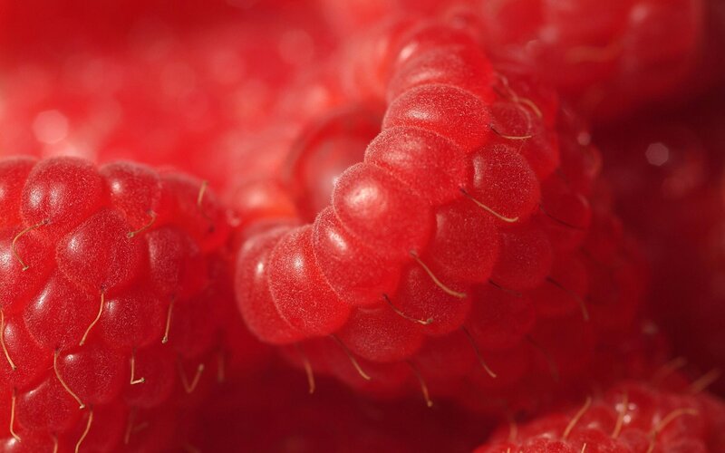 Close-up of ripe raspberries